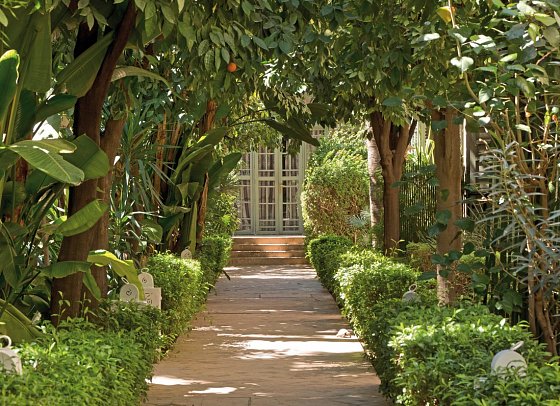 Les Jardins de la Medina