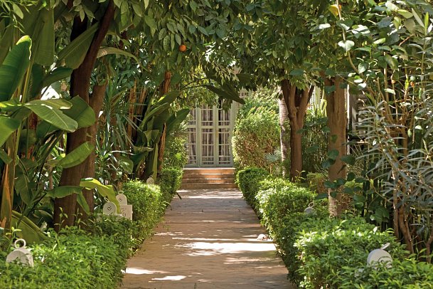 Les Jardins de la Medina