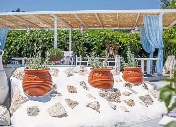 Tinas Plus Hotel