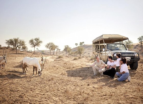 The Ritz-Carlton Ras Al Khaimah, Al Wadi Desert