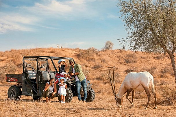 The Ritz-Carlton Ras Al Khaimah, Al Wadi Desert