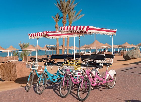 Pickalbatros Vita Resort