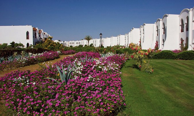 Gorgonia Beach Resort