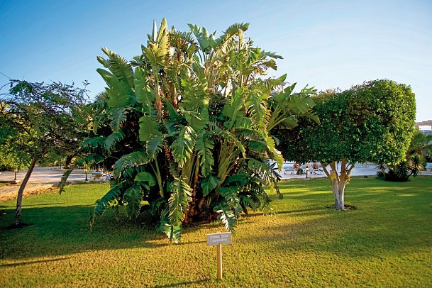 Brayka Bay Resort