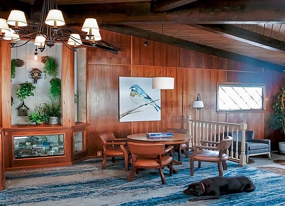 The Bluebird Inn