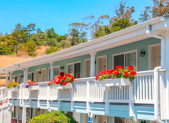 The Bluebird Inn