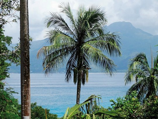 Anse Soleil Beachcomber