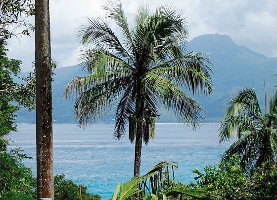Anse Soleil Beachcomber