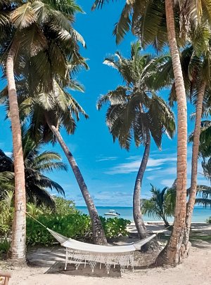 Bliss Hotel Praslin