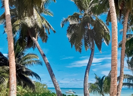 Bliss Hotel Praslin
