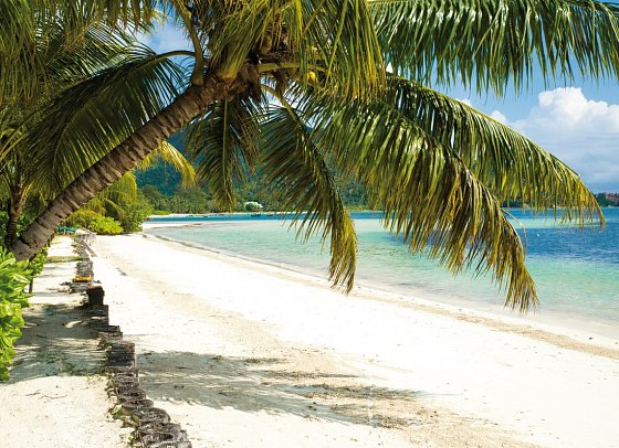 Indian Ocean Lodge