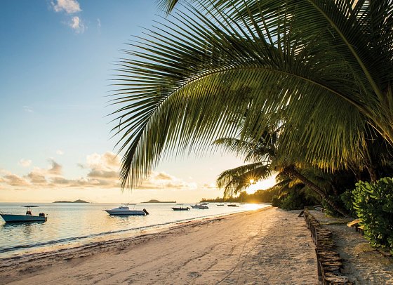 Indian Ocean Lodge