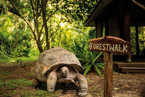 Denis Private Island