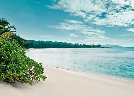Avani+ Barbarons Seychelles
