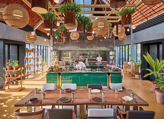Waldorf Astoria Seychelles Platte Island - Moulin