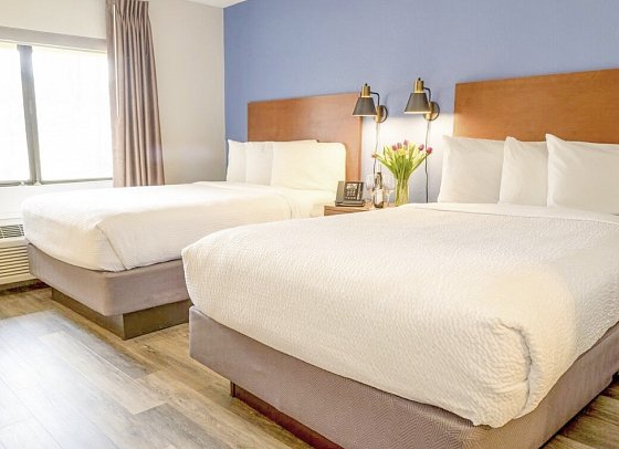 Hotel Focus - Wohnbeispiel Standard Double/Double (Zimmercodierung UG4)