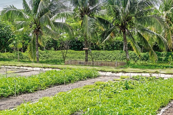 Meliá Ho Tram Beach Resort