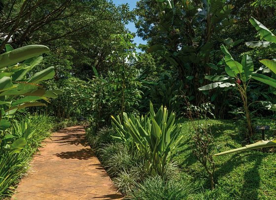 Barceló San José