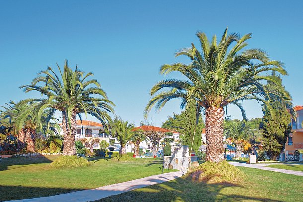 Chrousso Village - Wohnbeispiel Einzelzimmer