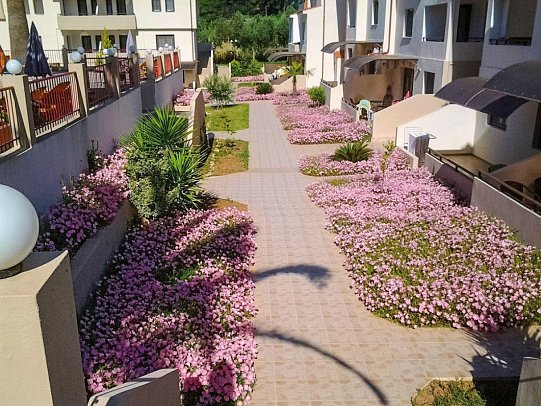 Amari Studios & Appartements