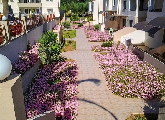 Hotel Amari