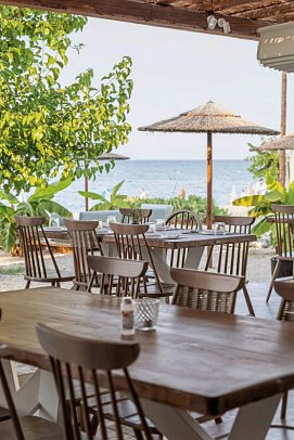 Royal Hotel and Suites - Olivo Beach-Bar