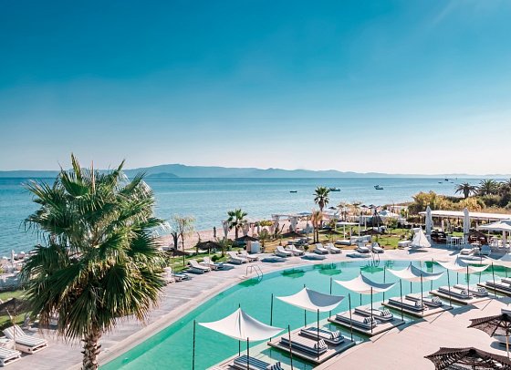 Blue Carpet Luxury Suites
