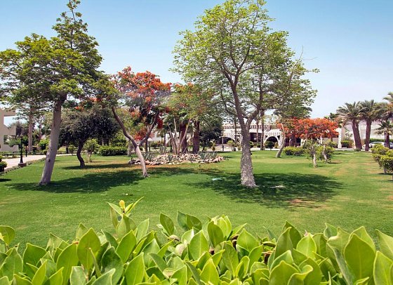 Swiss Inn Resort Dahab