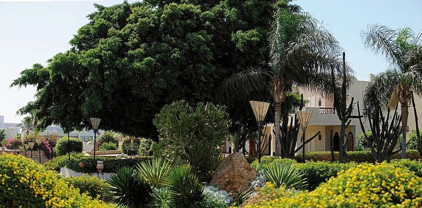 Sentido Reef Oasis Senses Resort