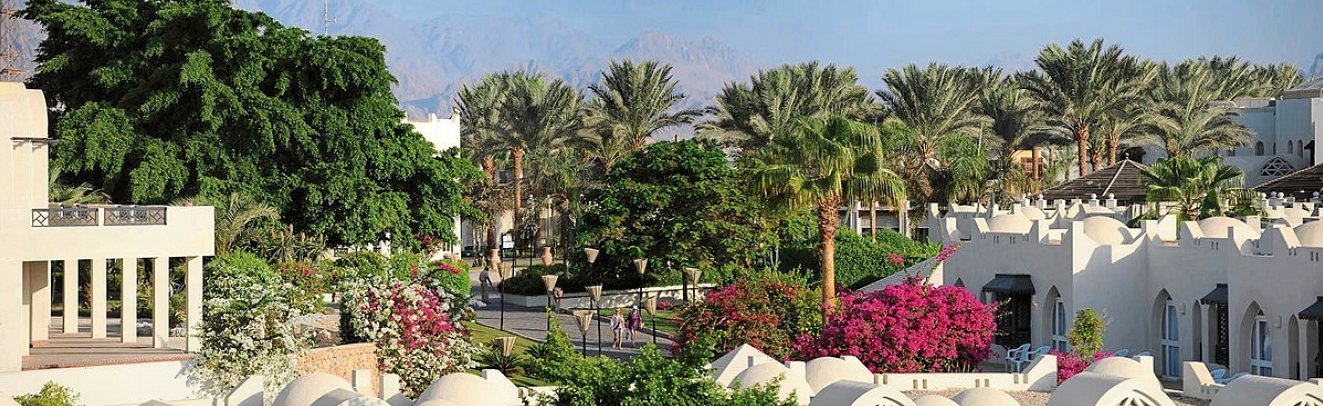 Sentido Reef Oasis Senses Resort