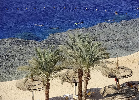 Sentido Reef Oasis Resort