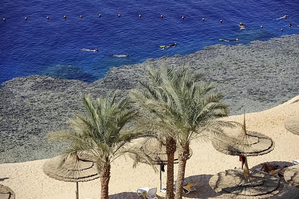 Sentido Reef Oasis Senses Resort