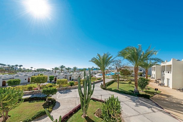 Reef Oasis Beach Resort