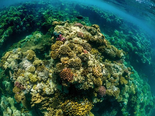 Rixos Sharm El Sheikh