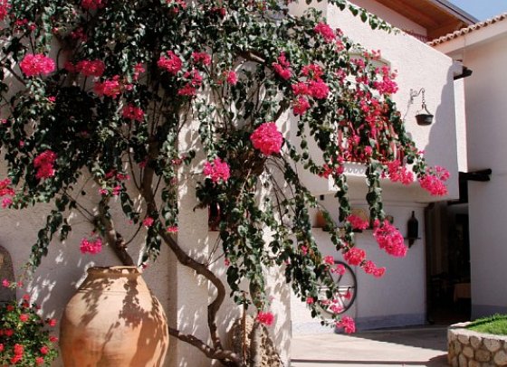 Residence Costa Azzurra