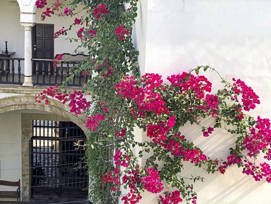 Hotel Las Casas de la Judería de Córdoba