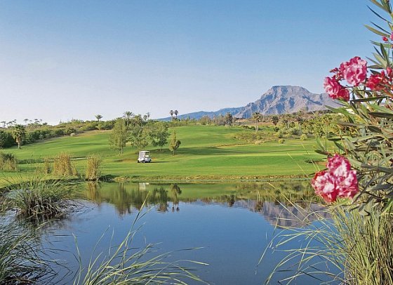 1881 Tenerife Madrigueras Golf Hotel - Las Américas