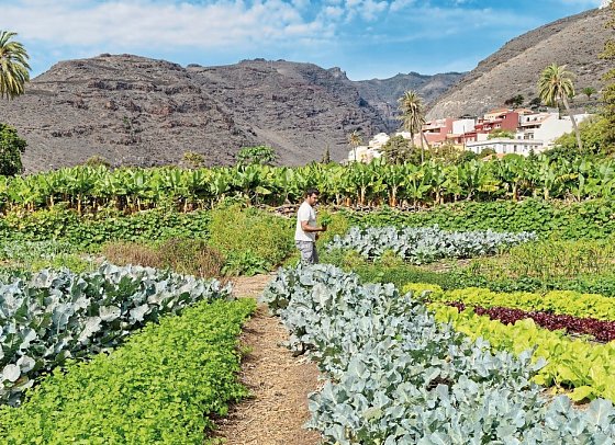 Jardín Tecina