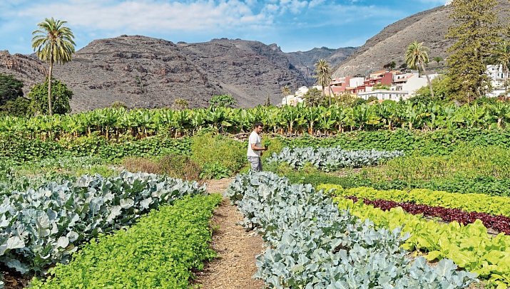 Jardín Tecina