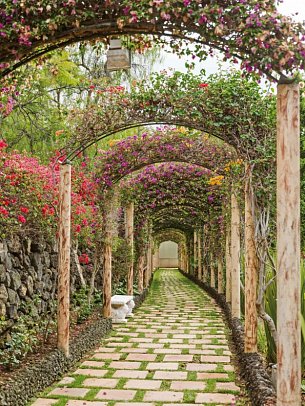 Precise Resort Tenerife