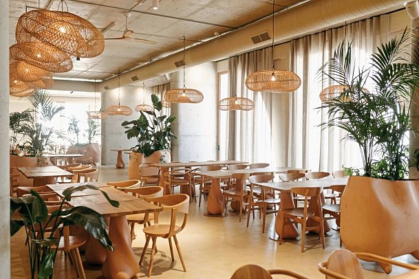 Epidamn White Sensation