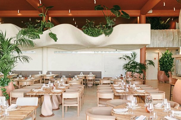 Epidamn White Sensation