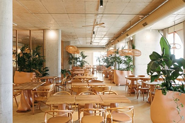 Epidamn White Sensation