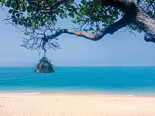 Saree Samui