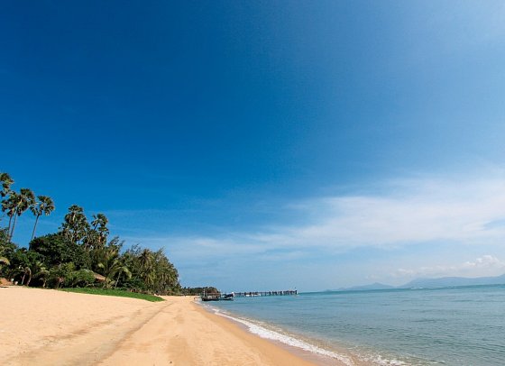 Saree Samui