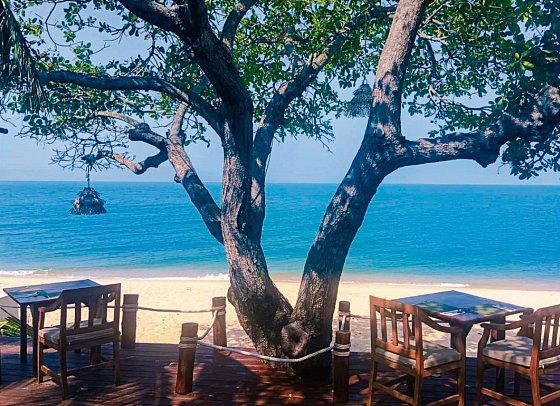 Saree Samui