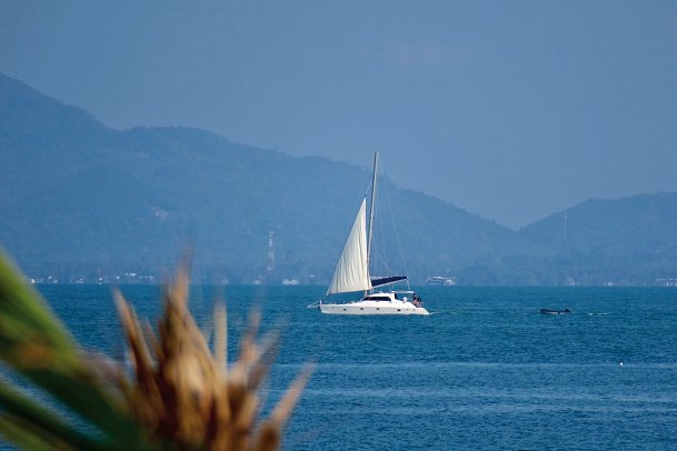 Saree Samui