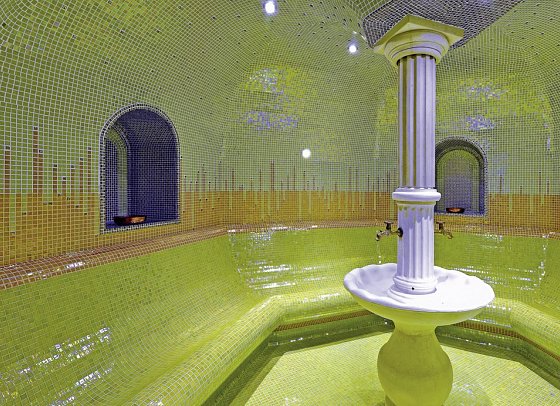 GRIFID Vistamar