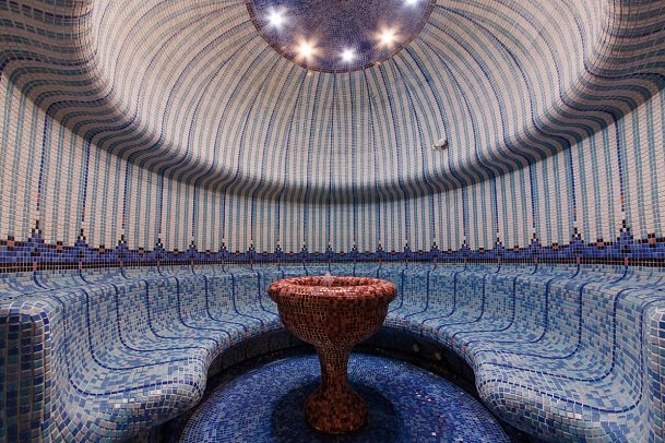 Hotel Balneo & SPA Azalia