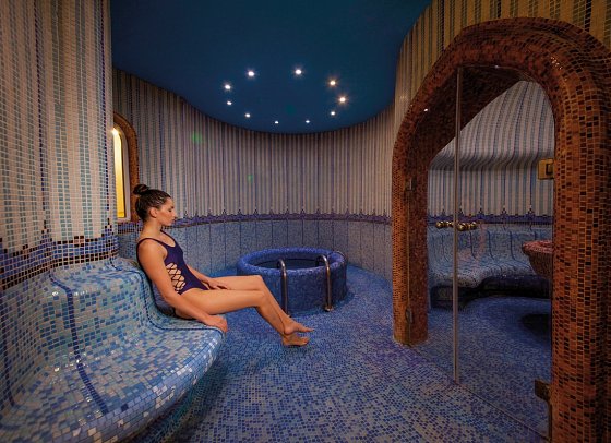 Hotel Balneo & SPA Azalia